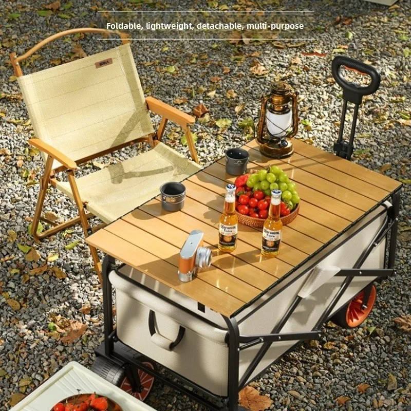 Camper Electric Power Outdoor  - đánh giá và giá Outdoor Power Recliner