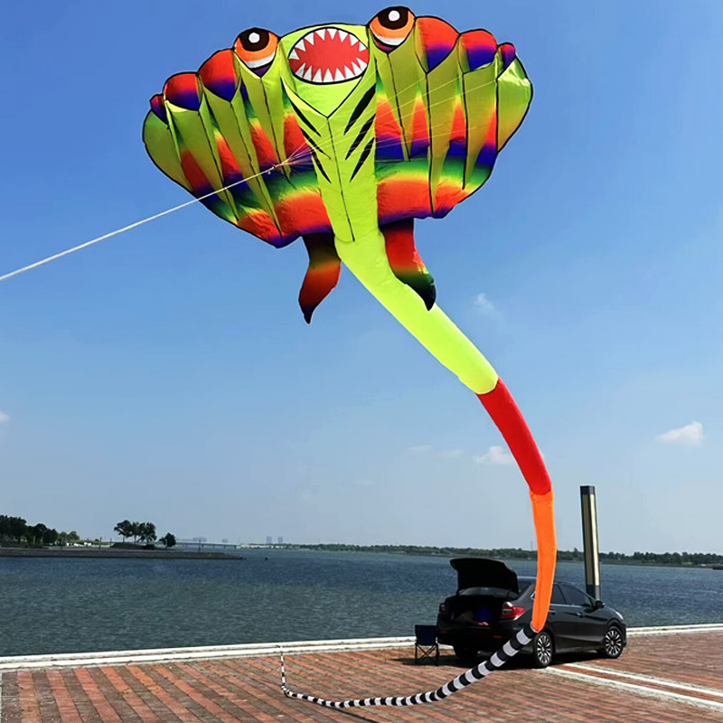 3D 12.5M 2-color Ray Soft Kite - đánh giá và giá Outdoor Power Reel