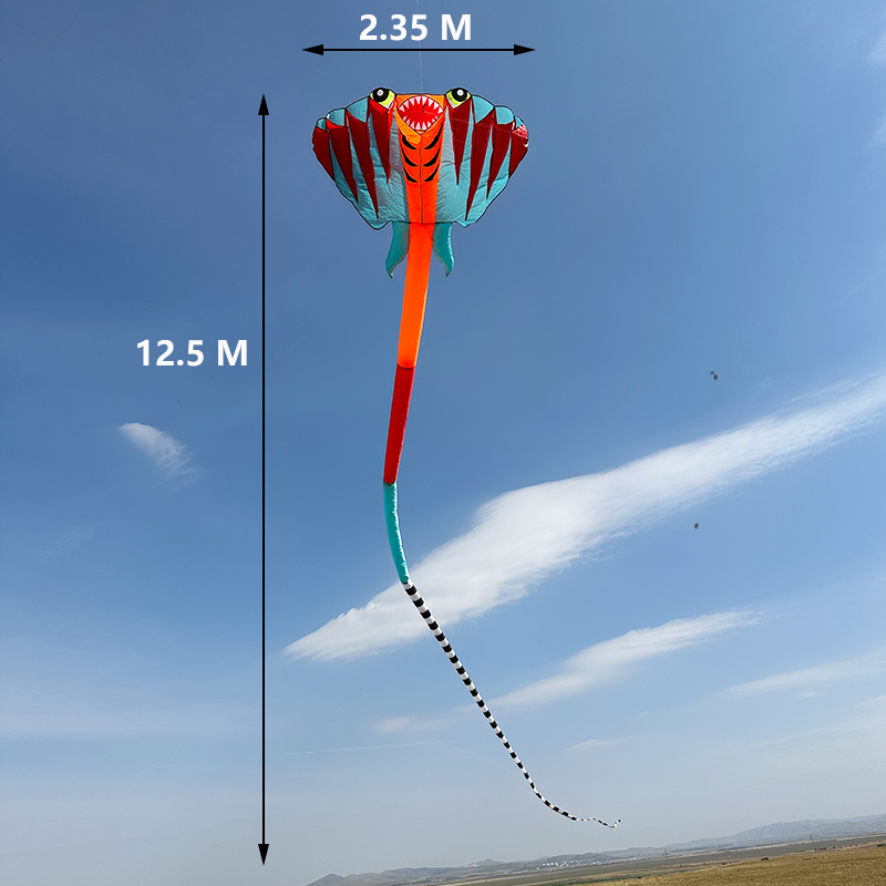 3D 12.5M 2-color Ray Soft Kite - đánh giá và giá Outdoor Power Reel