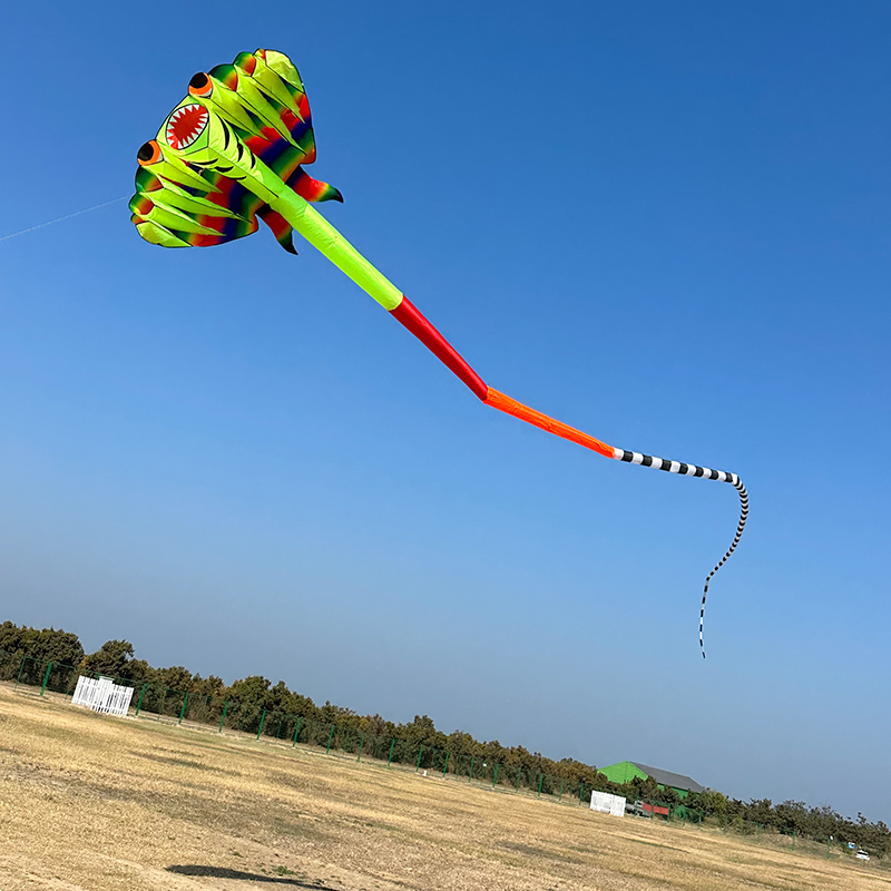 3D 12.5M 2-color Ray Soft Kite - đánh giá và giá Outdoor Power Reel