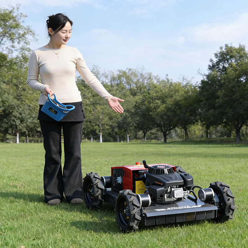Customized all terrain four-wh - đánh giá và giá Hedge Trimmer Cordless